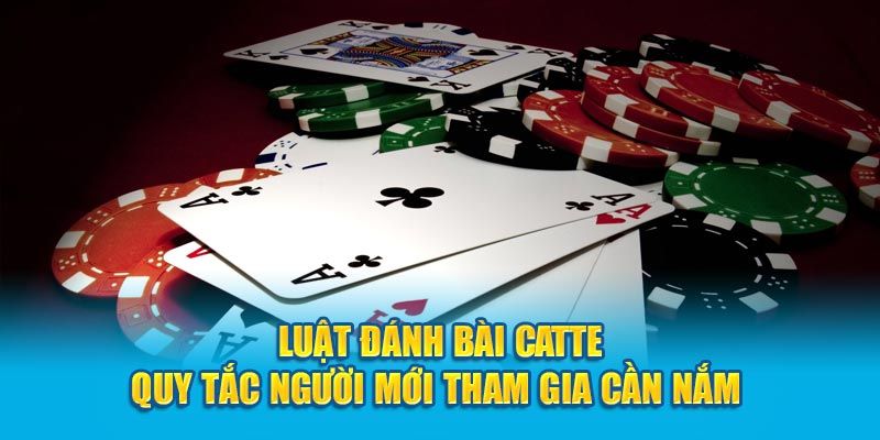 Bí quyết giúp bet thủ thắng lớn với tựa game catte