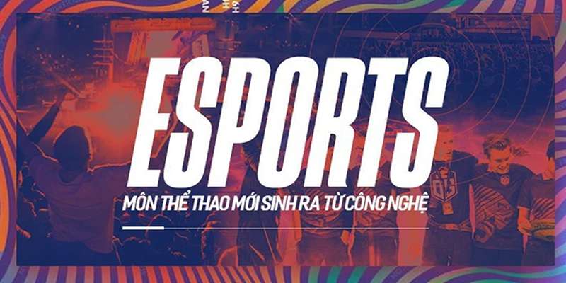 Quy trình tham gia gam esport