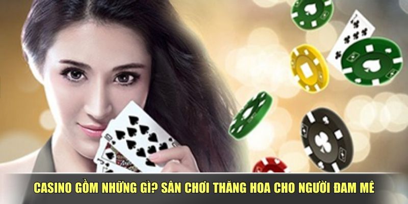 Casino Gồm Những Gì? Sân Chơi Thăng Hoa Cho Người Đam Mê