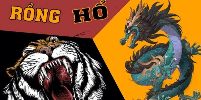 Chơi Rồng Hổ - Tổng Hợp Tất Tần Tật Thông Tin Cho Tân Thủ