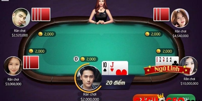 Ván đấu diễn ra trong 4 bước với các quy tắc cơ bản