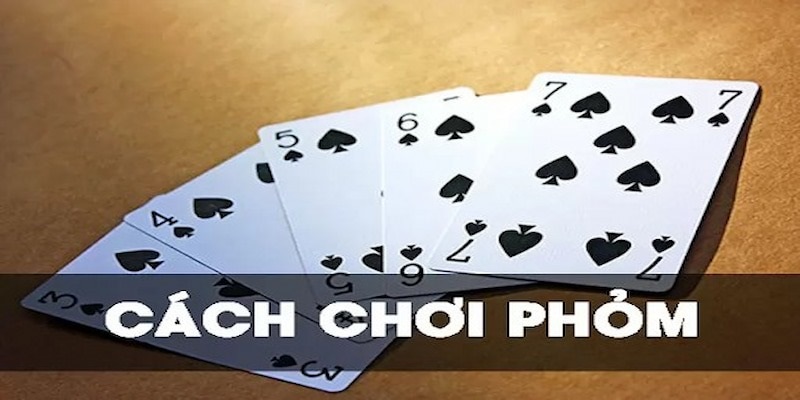 Phỏm Là Gì? Khám Thuật Ngữ Và Các Quy Tắc Chơi Cơ Bản