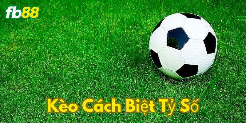 Kèo có đặc điểm gì nổi bật