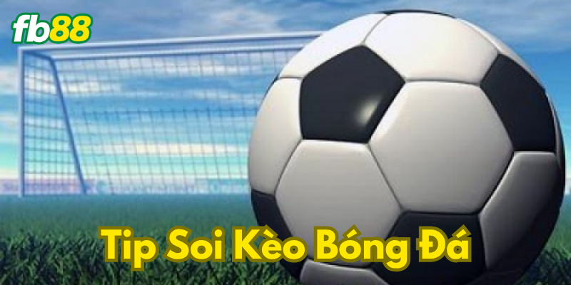 Không nên bỏ qua phân tích các yếu tố bên ngoài