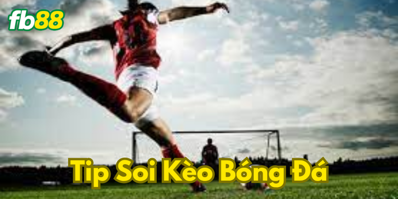 Nhiều người chơi cá cược theo cảm tính mà bỏ qua việc phân tích