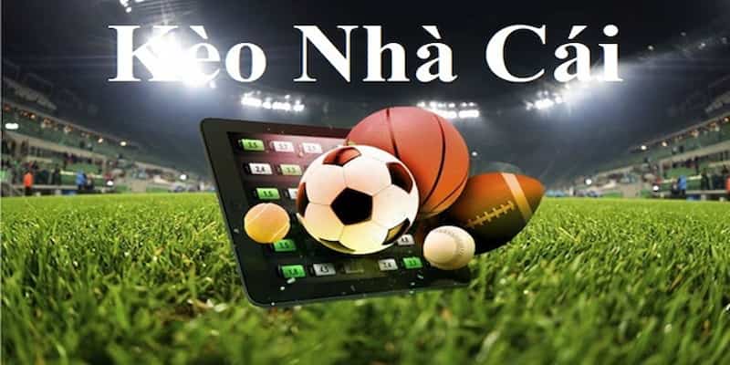 Khám phá các tỷ lệ kèo nhà cái phổ biến tại FB88