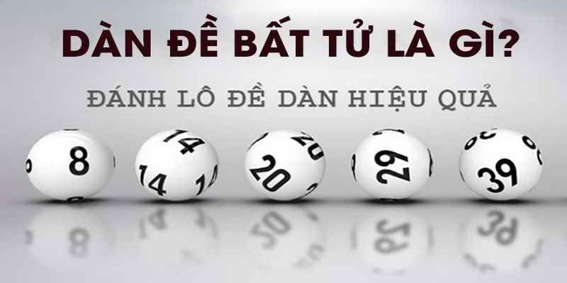 Phương pháp nuôi dàn đề bất tử của chuyên gia kinh nghiệm