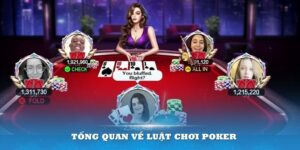 Hướng Dẫn Chi Tiết Tân Thủ Cách Chơi Bài Poker 