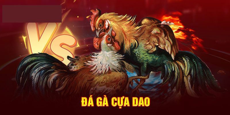 Thông tin về đá gà cựa dao