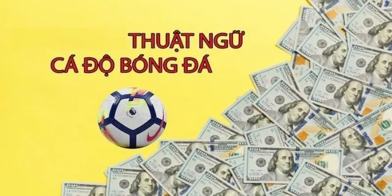 Thuật ngữ cá độ bóng đá khi đặt cược kèo