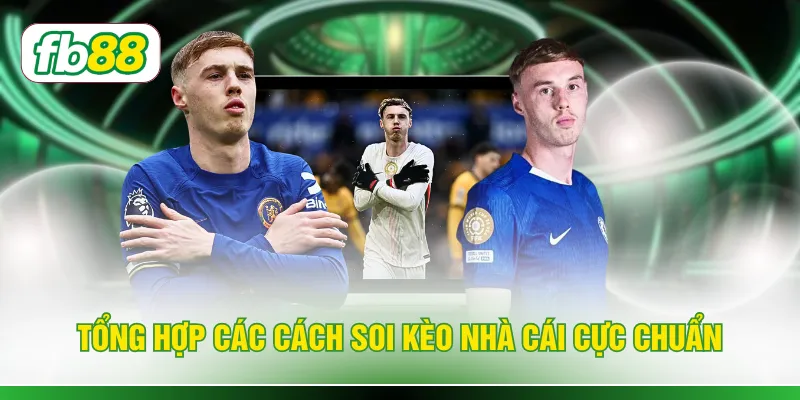 Tổng hợp các cách soi kèo nhà cái cực chuẩn