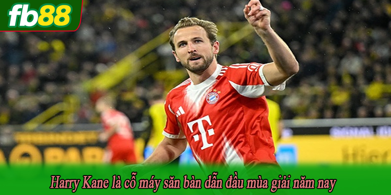 Harry Kane là cỗ máy săn bàn dẫn đầu mùa giải năm nay
