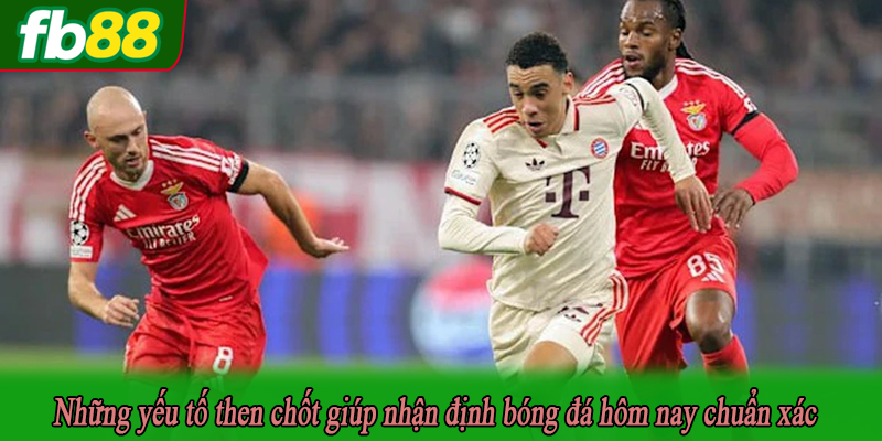 Những yếu tố then chốt giúp nhận định bóng đá hôm nay chuẩn xác