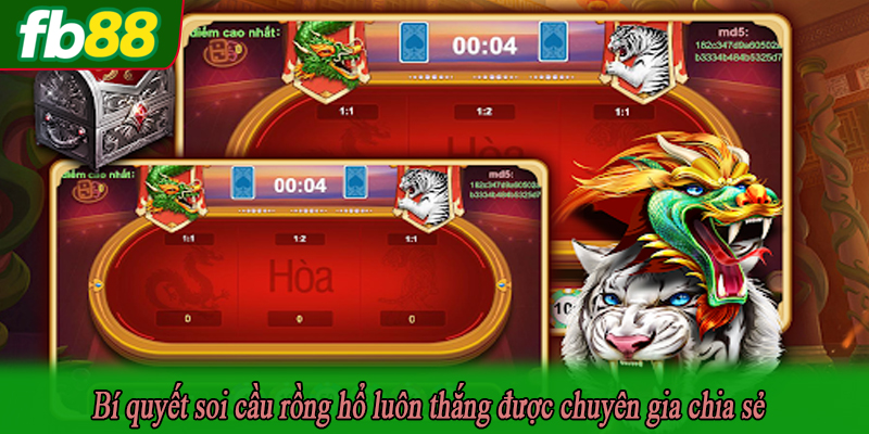 Bí quyết soi cầu rồng hổ luôn thắng được chuyên gia chia sẻ