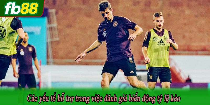 Các yếu tố hỗ trợ trong việc đánh giá biến động tỷ lệ kèo