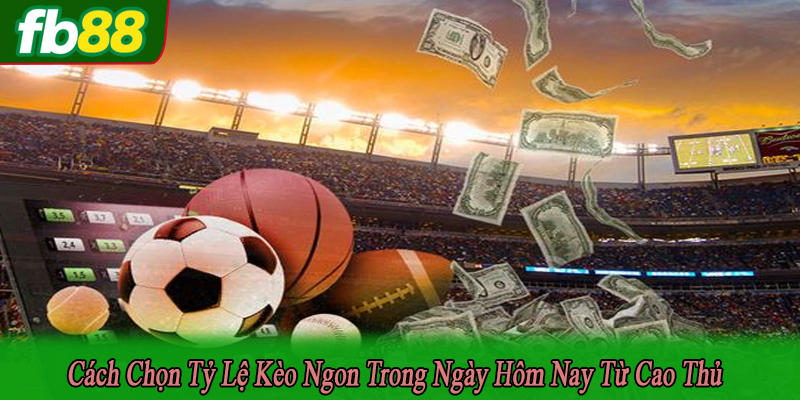 cách chọn tỷ lệ kèo ngon trong ngày hôm nay
