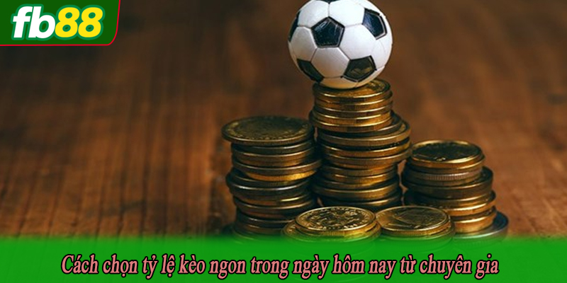 Cách chọn tỷ lệ kèo ngon trong ngày hôm nay từ chuyên gia