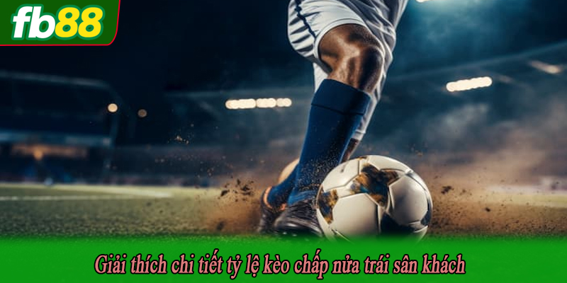 Giải thích chi tiết tỷ lệ kèo chấp nửa trái sân khách