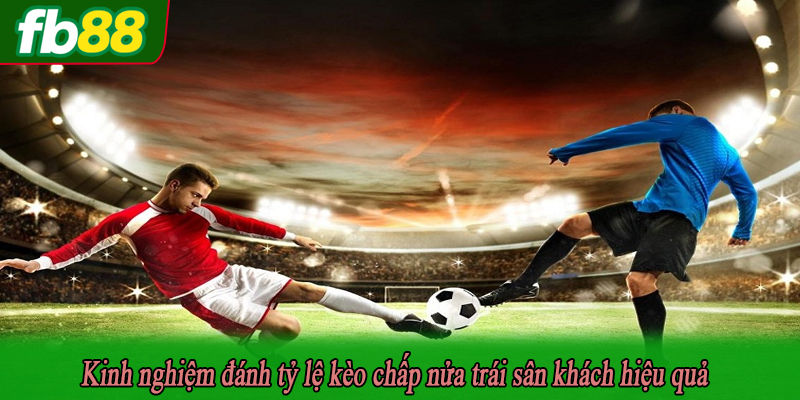 Kinh nghiệm đánh tỷ lệ kèo chấp nửa trái sân khách hiệu quả