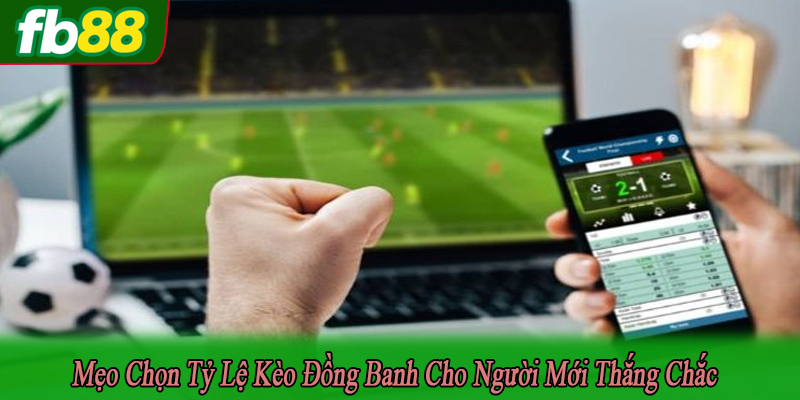 mẹo chọn tỷ lệ kèo đồng banh cho người mới