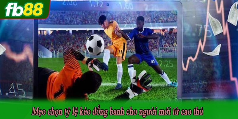 Mẹo chọn tỷ lệ kèo đồng banh cho người mới từ cao thủ