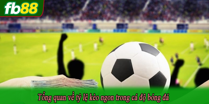 Tổng quan về tỷ lệ kèo ngon trong cá độ bóng đá