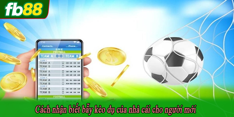 Cách nhận biết bẫy kèo dụ của nhà cái cho người mới