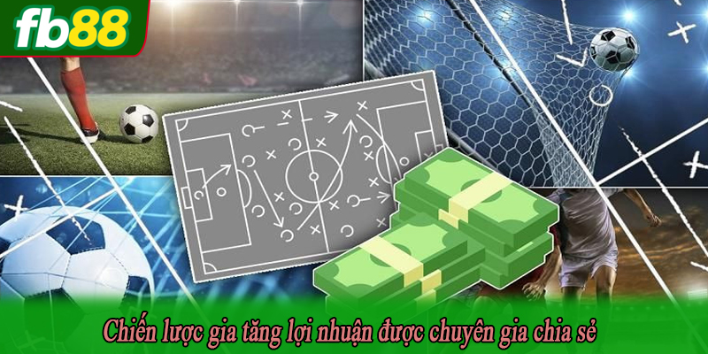 Chiến lược gia tăng lợi nhuận được chuyên gia chia sẻ