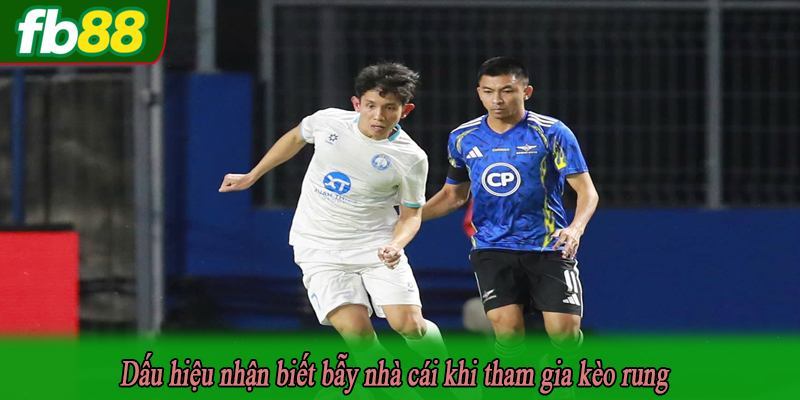 Dấu hiệu nhận biết bẫy nhà cái khi tham gia kèo rung