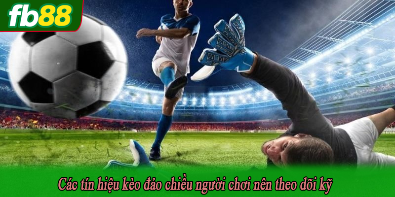Các tín hiệu kèo đảo chiều người chơi nên theo dõi kỹ