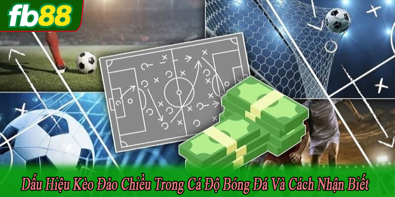 dấu hiệu kèo đảo chiều