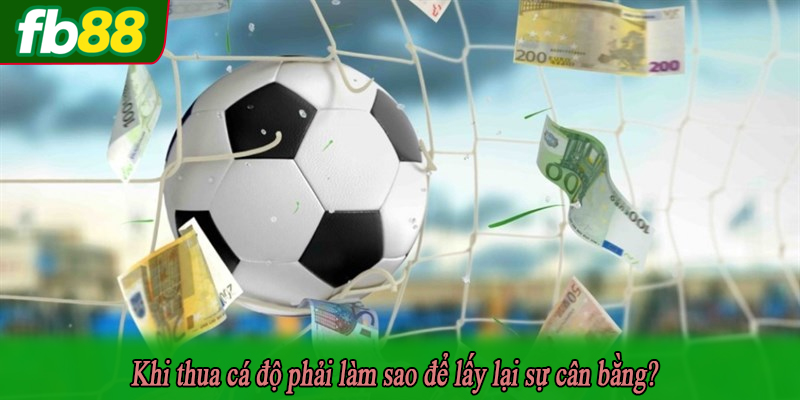 Khi thua cá độ phải làm sao để lấy lại sự cân bằng?