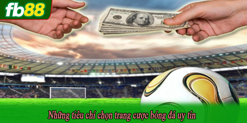 Những tiêu chí chọn trang cược bóng đá uy tín