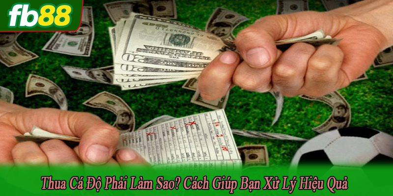 thua cá độ phải làm sao