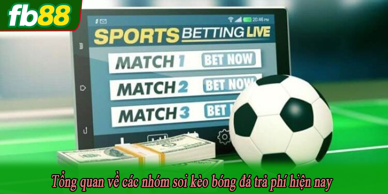 Tổng quan về các nhóm soi kèo bóng đá trả phí hiện nay