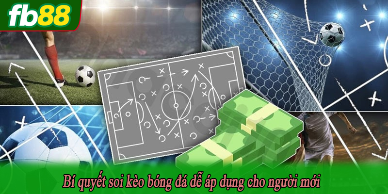 Bí quyết soi kèo bóng đá dễ áp dụng cho người mới