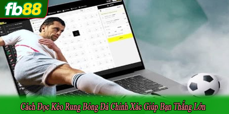 Cách đọc kèo rung bóng đá chính xác