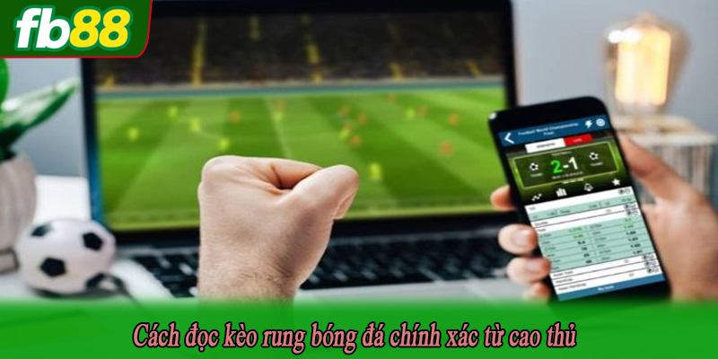 Cách đọc kèo rung bóng đá chính xác từ cao thủ