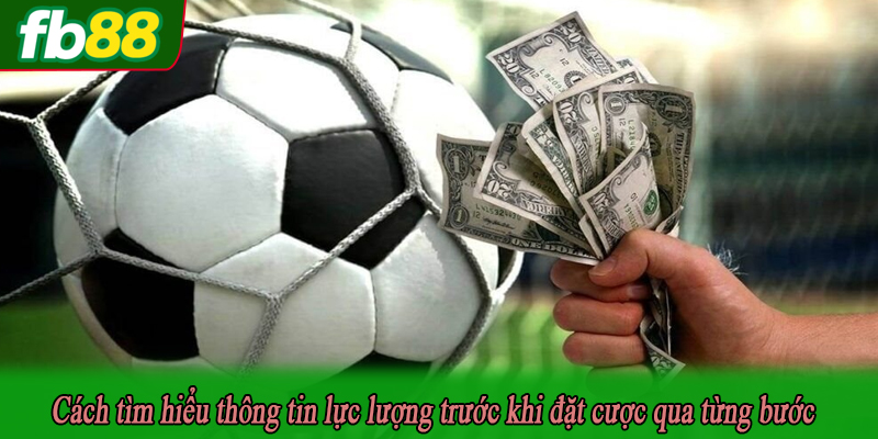 Cách tìm hiểu thông tin lực lượng trước khi đặt cược qua từng bước