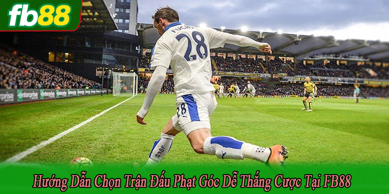 hướng dẫn chọn trận đấu phạt góc dễ thắng