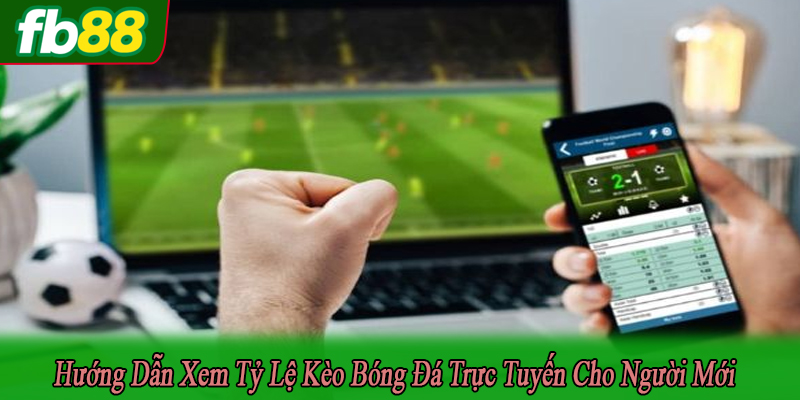 hướng dẫn xem tỷ lệ kèo bóng đá trực tuyến