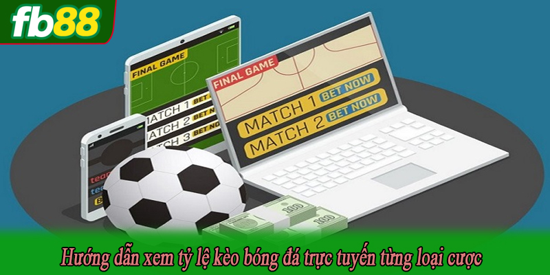 Hướng dẫn xem tỷ lệ kèo bóng đá trực tuyến từng loại cược