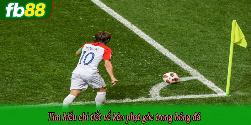 Tìm hiểu chi tiết về kèo phạt góc trong bóng đá