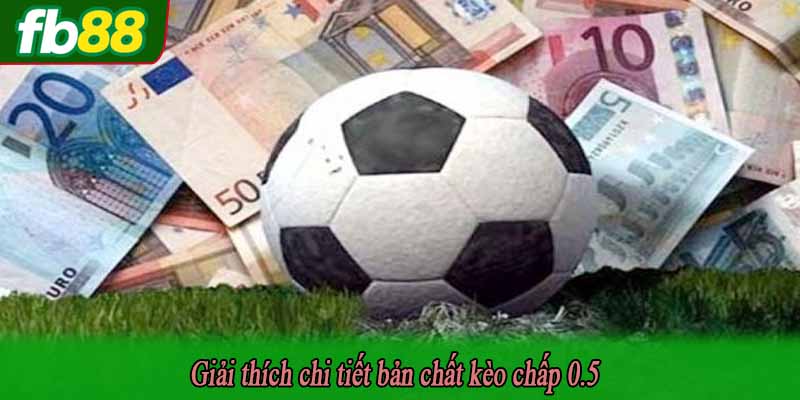 Giải thích chi tiết bản chất kèo chấp 0.5