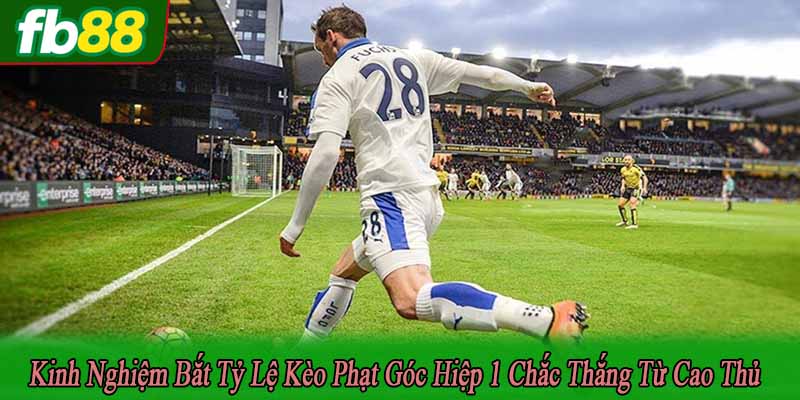 kinh nghiệm bắt tỷ lệ kèo phạt góc hiệp 1