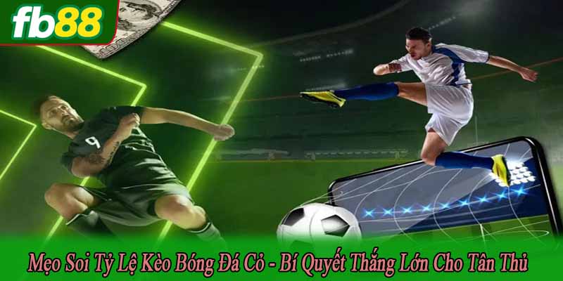 mẹo soi tỷ lệ kèo bóng đá cỏ