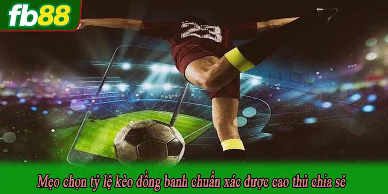 Mẹo chọn tỷ lệ kèo đồng banh chuẩn xác được cao thủ chia sẻ
