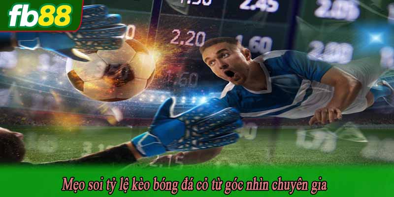 Mẹo soi tỷ lệ kèo bóng đá cỏ từ góc nhìn chuyên gia